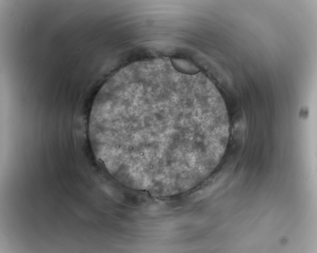 X0000103140772200809192004