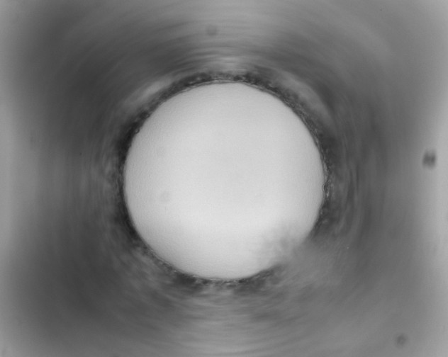 X0000103140773200809192004