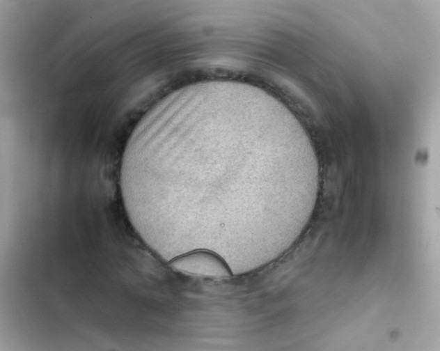 X0000103140774200809192004