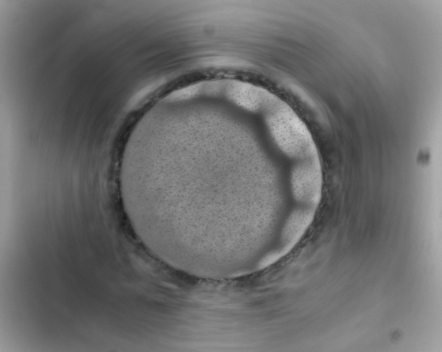 X0000103140775200809192004