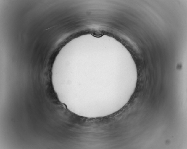 X0000103140776200809192004