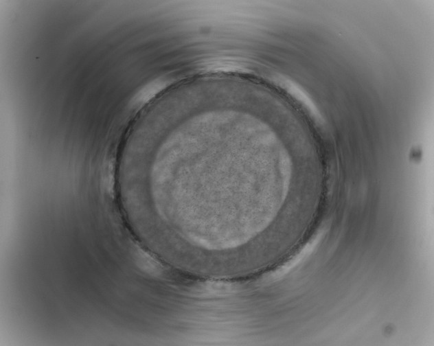 X0000103140777200809192004