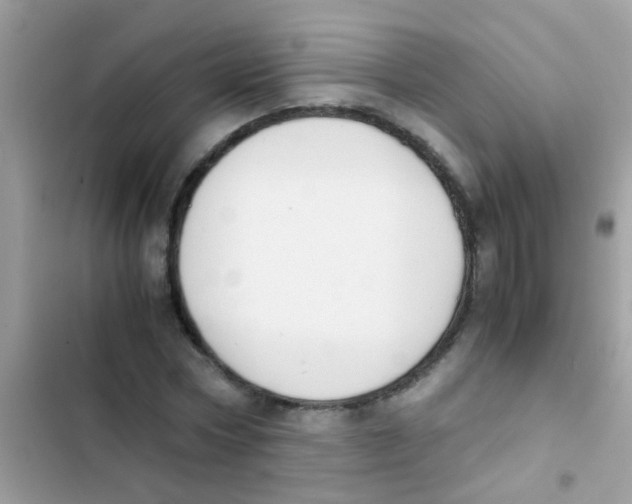 X0000103140778200809192004