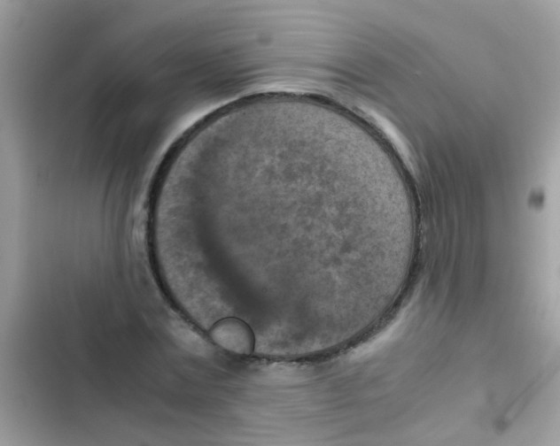 X0000103140779200809192004