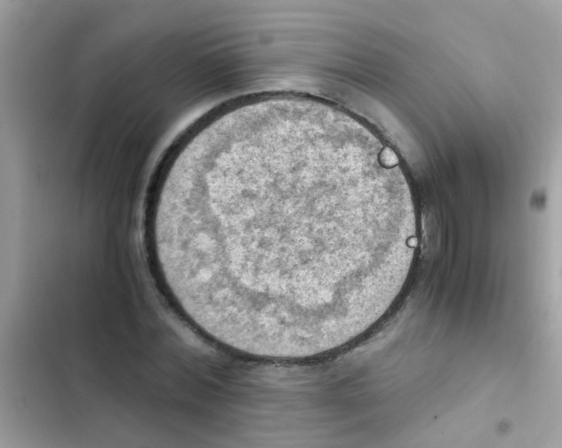 X0000103140780200809192004