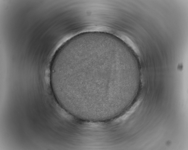 X0000103140781200809192004