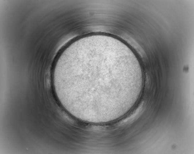 X0000103140782200809192004