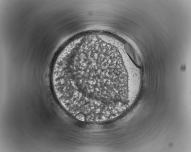 X0000103140783200809192004