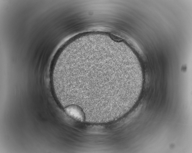 X0000103140784200809192004