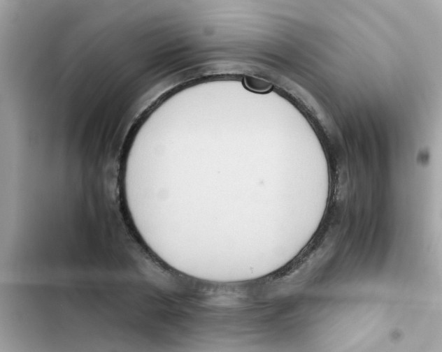 X0000103140786200809192004