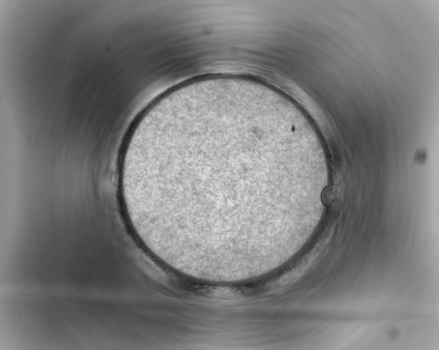 X0000103140787200809192004