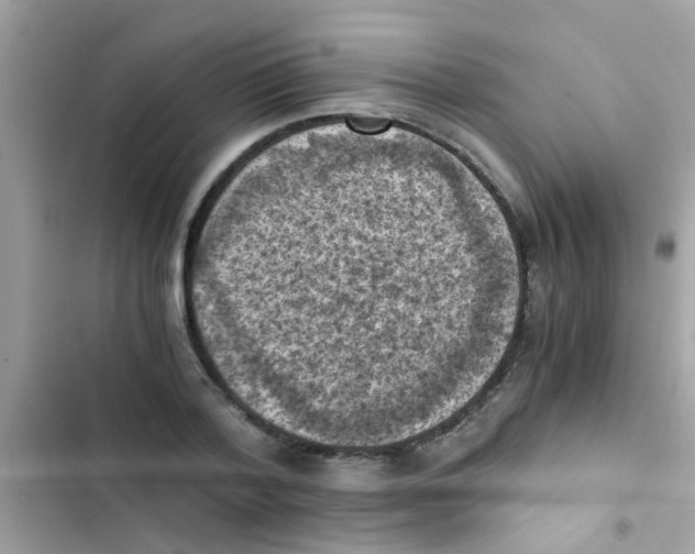 X0000103140788200809192004