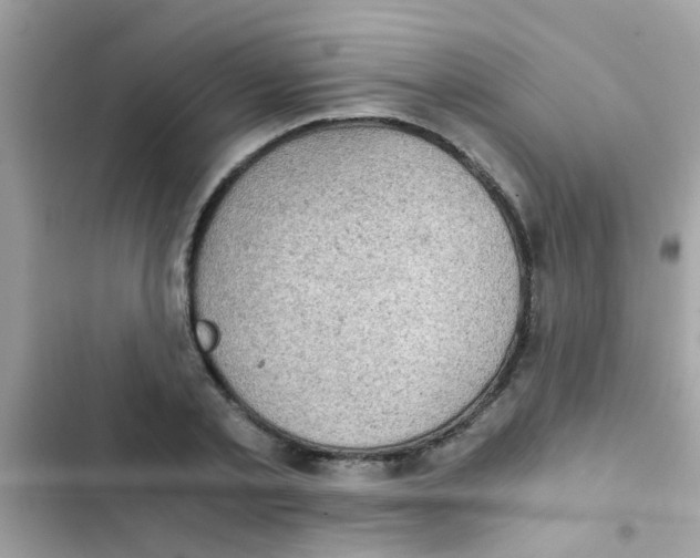 X0000103140789200809192004