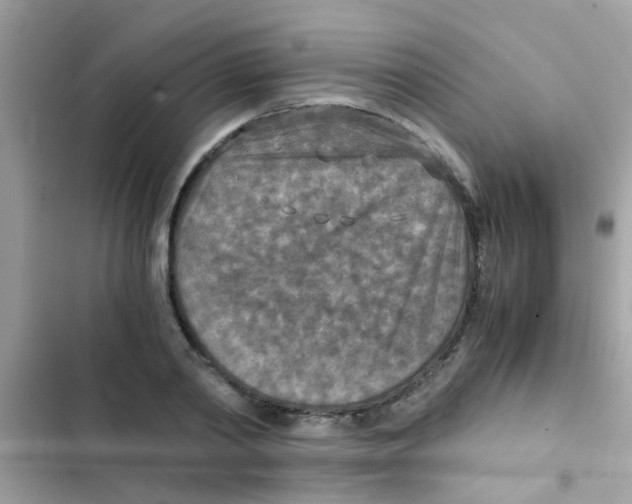 X0000103140790200809192004