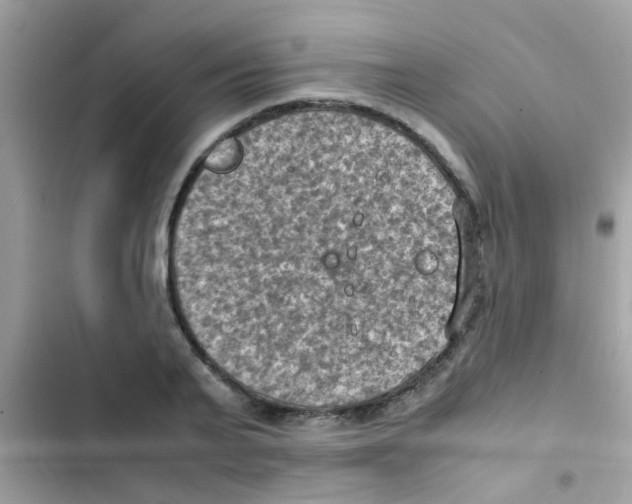 X0000103140791200809192004