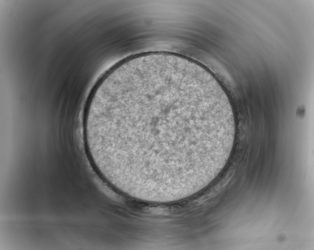 X0000103140792200809192004