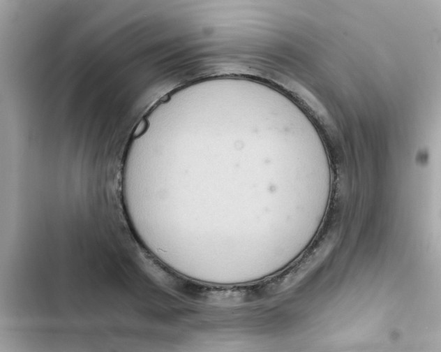 X0000103140793200809192004