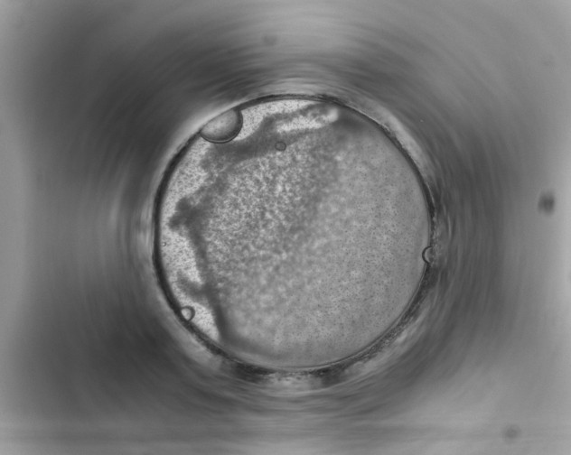 X0000103140795200809192004