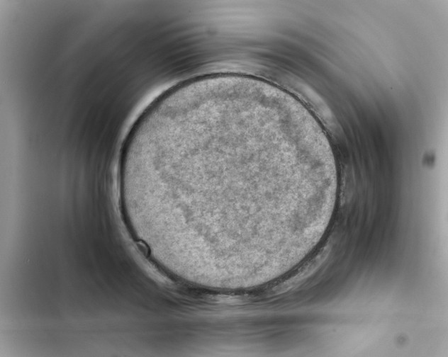 X0000103140796200809192004