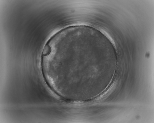 X0000103140797200809192004