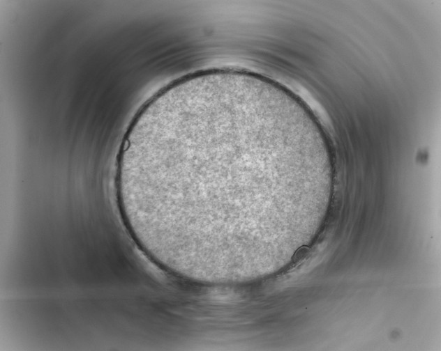 X0000103140799200809192004