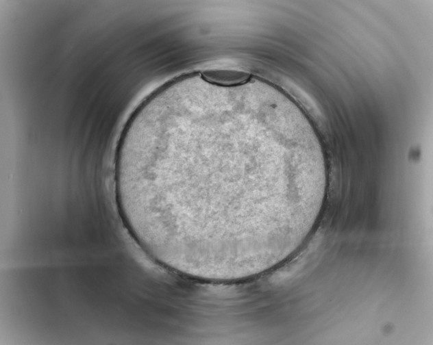 X0000103140800200809192004