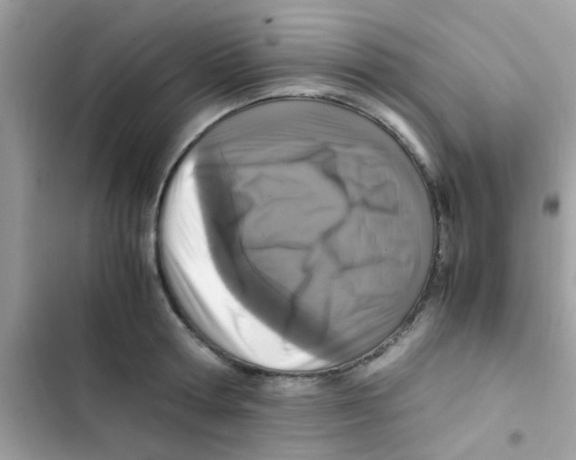 X0000103140802200809192004