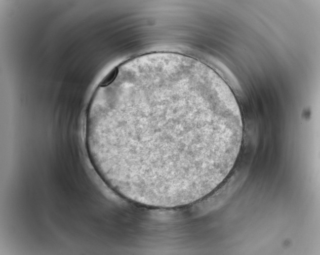 X0000103140804200809192004