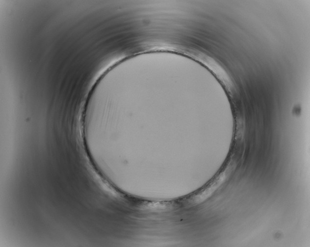 X0000103140806200809192004