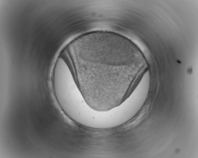 X0000103140807200809192004