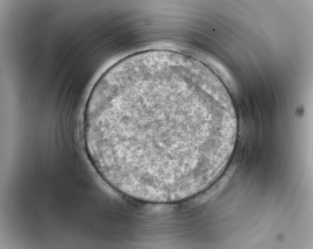 X0000103140808200809192004