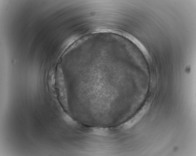 X0000103140809200809192004