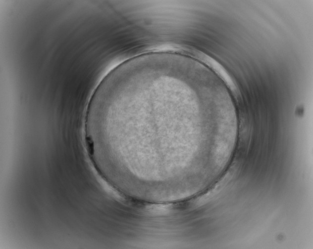 X0000103140810200809192004