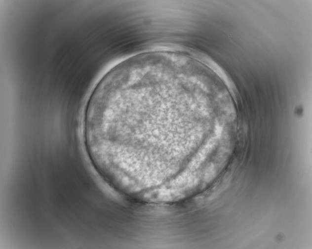 X0000103140811200809192004