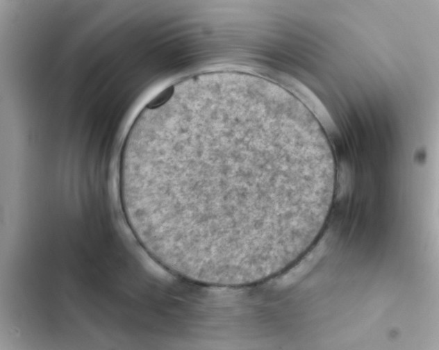 X0000103140812200809192004