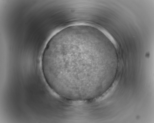 X0000103140813200809192004