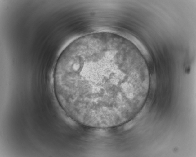 X0000103140814200809192004