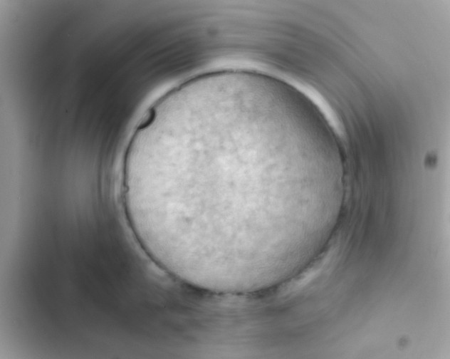 X0000103140815200809192004