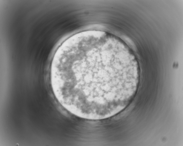 X0000103140816200809192004