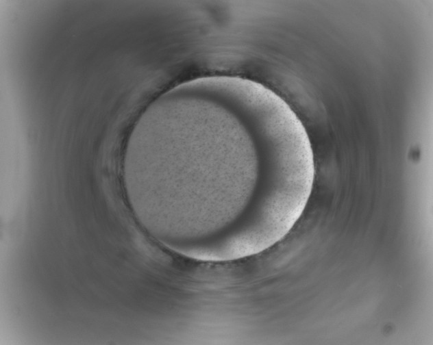 X0000103140817200809192003