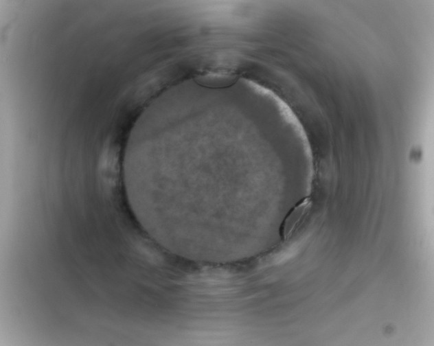 X0000103140818200809192003