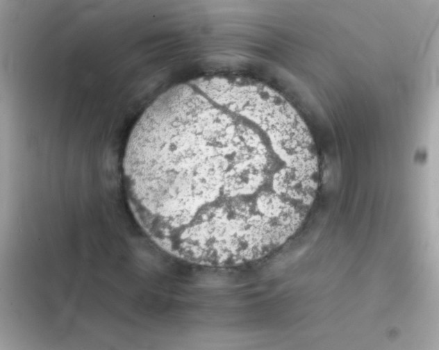 X0000103140819200809192003