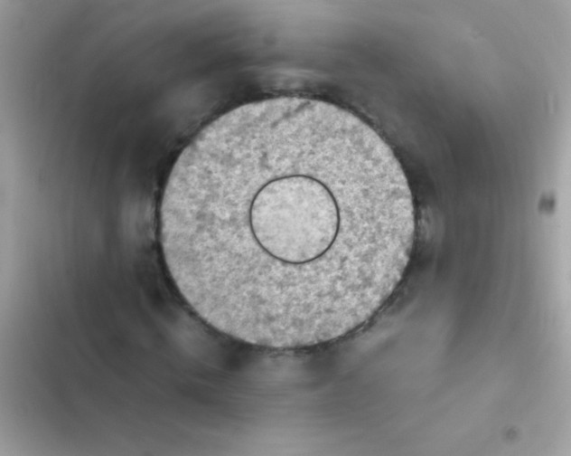 X0000103140820200809192003