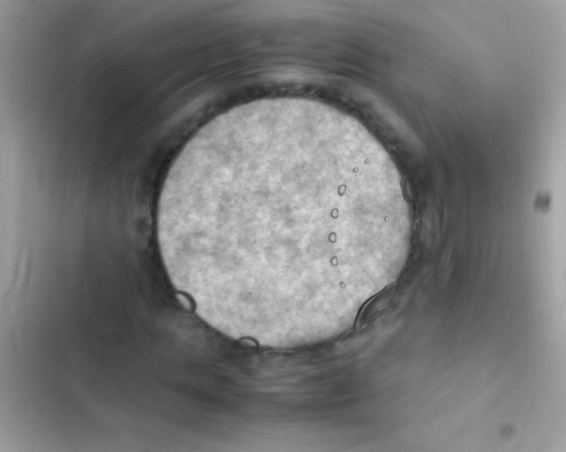 X0000103140821200809192003