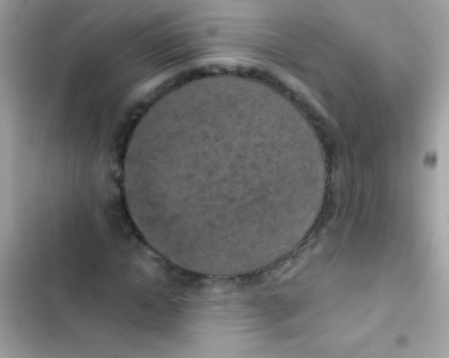 X0000103140822200809192003