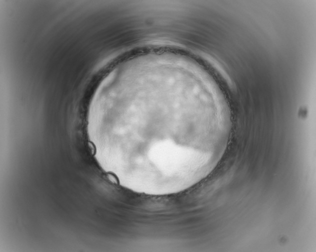 X0000103140823200809192003