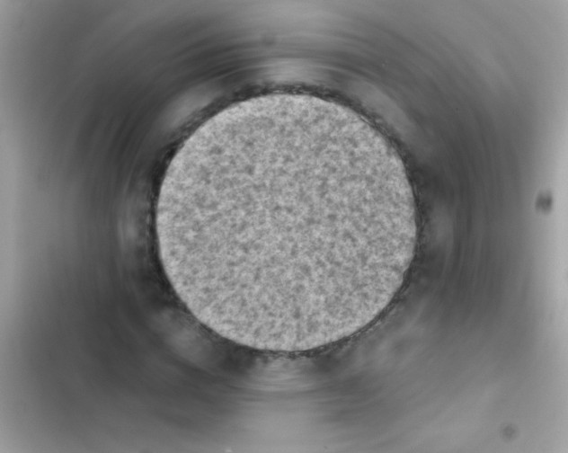 X0000103140824200809192003