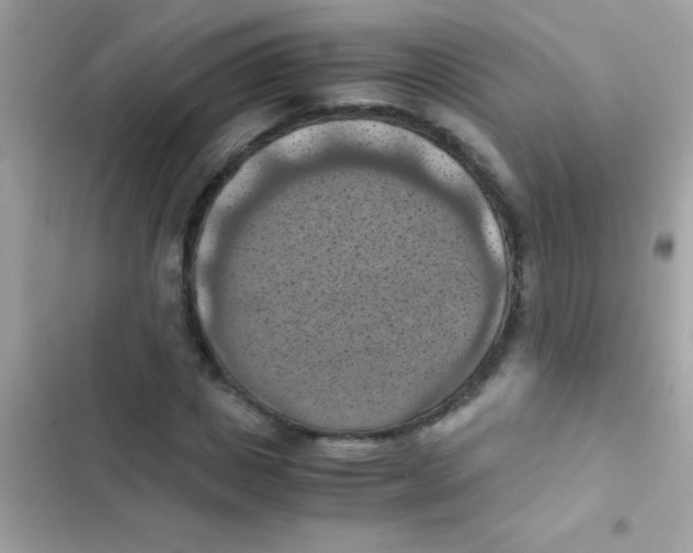 X0000103140825200809192003