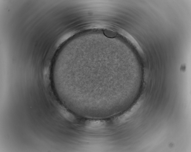 X0000103140826200809192003