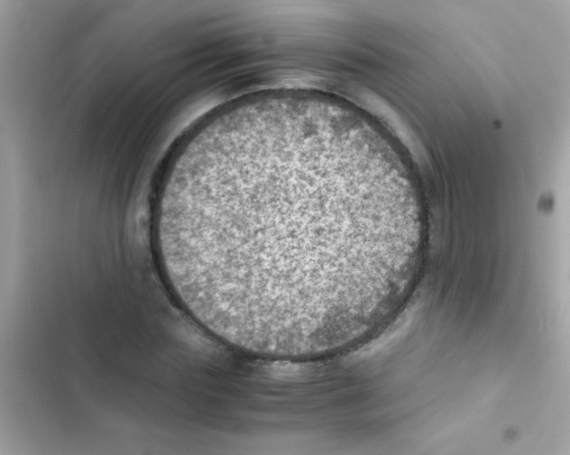 X0000103140827200809192003